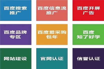 探索百度竞价代理的未来发展趋势与挑战